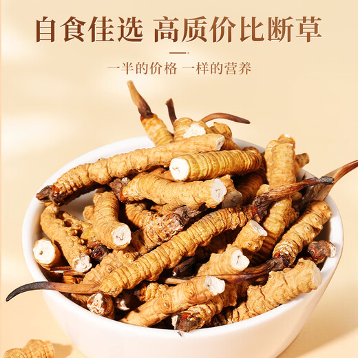 雄风道5克起拍 大断草 新货冬虫夏草藏区雪域虫草 干货正宗断虫草 10克养生装