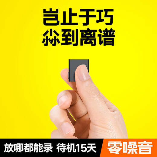 Cool Dingdang Recording Pen Small Mini Professional Recording Equipment Portable Recorder Monitoring Recorder Recording Artifact Long Standby to Text Conference Record Upgraded Version丨Apple/Android One-click Operation + Intelligent Voice Control + Voice Translation 128G