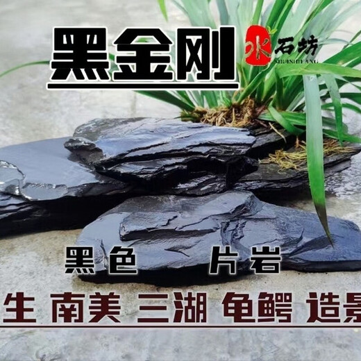Fish tank stone ornamental stone native tank black gold fine schist turtle basking back schist landscaping platform fish tank climbing pet vacation 3Jin Jin equal to 0.5kg 20-30cm
