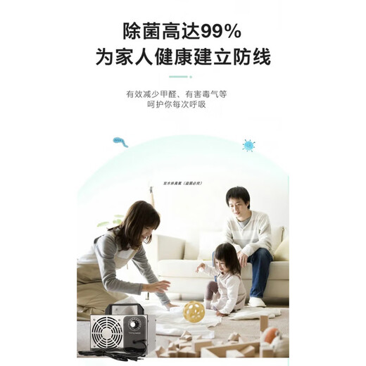 Ozone disinfection machine generator new house decoration household formaldehyde removal air purifier car interior deodorization household 220V 20g 0~100 square meters