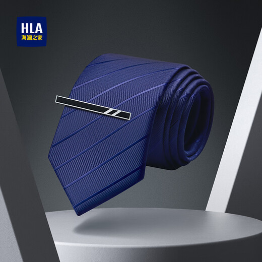 Heilan House Men's Tie Tie Clip Set Birthday Gift for Boyfriend Hand Tie Suit Accessories