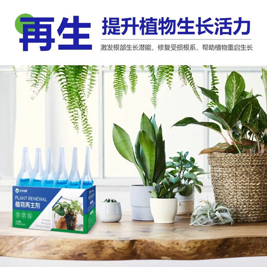 Plant Regeneration Agent Resurrection Liquid Flowers and Green Plants Potted Plants Universal Light Rod Yellowing Money Tree Succulent Growth Nutrient Solution Buy One Get One Free Limited Time Event 2 boxes of 12 pieces in total