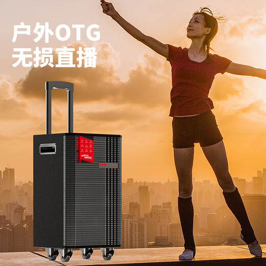 Malata (Malata) M+9297 outdoor electric acoustic guitar folk singing instrument speaker square dance performance audio wireless Bluetooth home trolley speaker 15-inch OTG lossless live broadcast