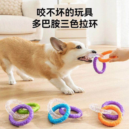 Jingdong Express dog toy pull ring teeth grinding and teeth cleaning tug of war pull toy to relieve boredom blue and orange three-color ring
