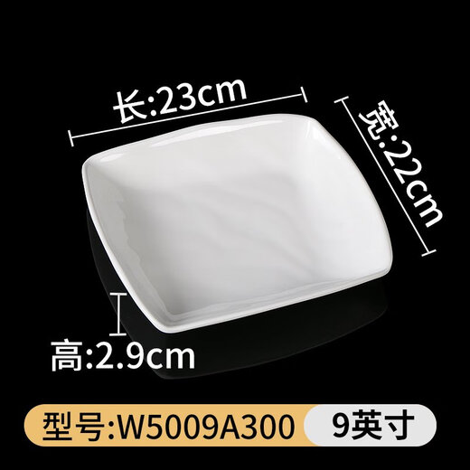 白色密胺餐具盘子凉菜碟子餐盘小炒菜盘仿瓷菜碟商用盘 w5009a300  8个