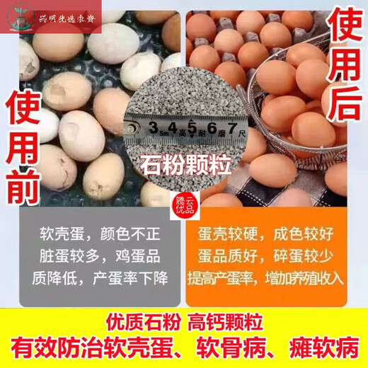 Feed grade calcium supplement stone powder rice egg egg duck egg poultry special calcium supplement feed raw material premix additive calcium supplement for eggs and poultry feed grade stone powder high calcium stone granules 2 bags