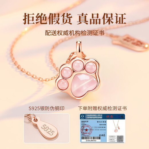 Central Chuang Fashion Chinese Gold and Silver Necklace for Girls Light Luxury Niche High-end Girl Birthday Gift for Lady Girlfriend Best Friend S925