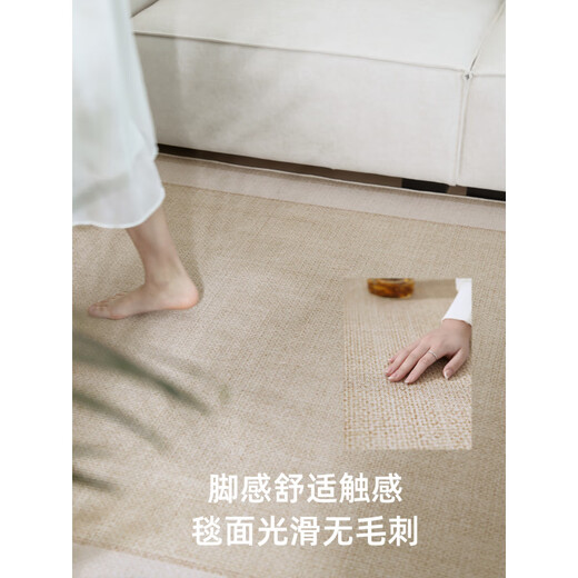萝大搬（LUODABAN）客厅地毯新款凉席地垫夏季冰丝轻奢感房间榻榻米免洗可擦 宜沐-15780 200cm*300cm [推荐款]