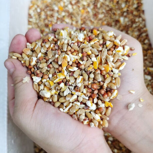 Wholesale chicken feed, sorghum, wheat and corn crushed mixed to feed chickens, corn crushed dregs, corn grits, chicken and duck grain, pigeons 1 Jin Jin is equal to 0.5 kg (sorghum + wheat + corn crushed mixed)