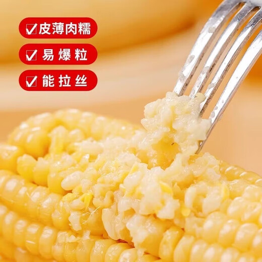 2025 Northeast yellow sweet glutinous corn on the cob vacuum packaged low-fat yellow waxy big stick sweet Northeast breakfast sticky rice yellow waxy corn 2 sticks 180g/stick