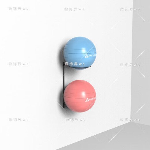 惠利得壁挂瑜伽球架健身房专用置球架健身球瑜伽球摆放架置物架收纳 白色（可存放2个）（适合55-756