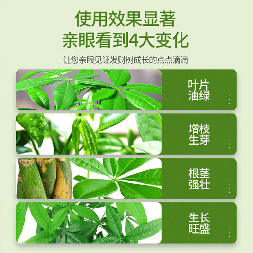 Комплексное удобрение типа денежного дерева для укоренения и формирования сильных саженцев, блестящие листья для горшечных растений, органическое гранулированное питательное удобрение с низким содержанием хлора замедленного действия, 10 упаковок, в индивидуальной упаковке - с пробной упаковкой