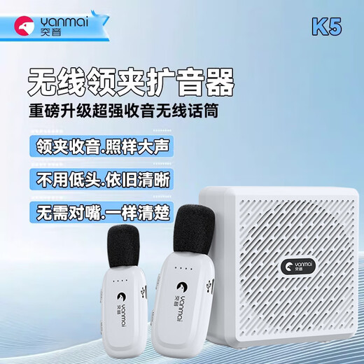 Tuyin K5 Wireless Lavalier Microphone Amplifier for Teachers, Small Bee, High Volume, Anti-Howling, Noise Reduction Microphone for Teacher Class Meetings, Bluetooth Small Speaker, Outdoor Tour Guide, Voice Protector Tuyin K5-White, Double Model, Wireless Lavalier Amplifier