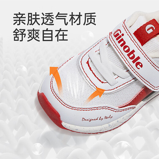 Ginoble Toddler Shoes Autumn Model Children's Functional Shoes Male and Female Baby Shoes 18 Months - 5 Years Old Children's Shoes TXG1203 Crown Blue 24 150mm Suitable for Foot Length 146-155mm