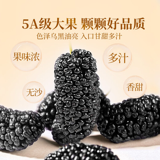贡苑桑葚红花茶 央视推荐中药材桑椹藏红花熬夜去黑眼圈组合茶包156g