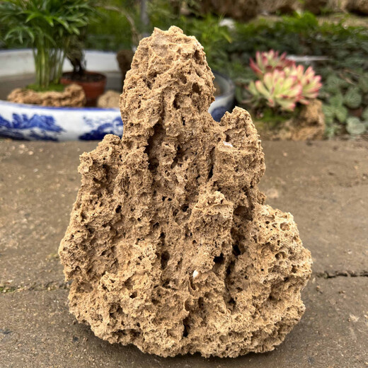Absorbent stone bonsai water rockery stone strange stone fish tank landscaping home decoration water show stone strange stone small ornaments about 15cm free grass seeds with stones