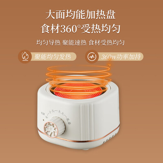 Health kettle, kettle, hot water kettle, thermostatic kettle, teapot, teapot, all-in-one, fully-glass, fully-automatic, small household, multifunctional office, large capacity, rose gold 0.6L