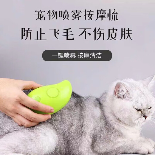 Pet spray combing brush cat and dog massager brush rechargeable hair removal comb to prevent flying hair