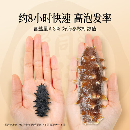 Tong Ren Tang brand Beijing Tong Ren Tang Dalian Liao Cucumber 98g 30-39 pieces instant sea cucumber dry goods gift box high quality sea cucumber