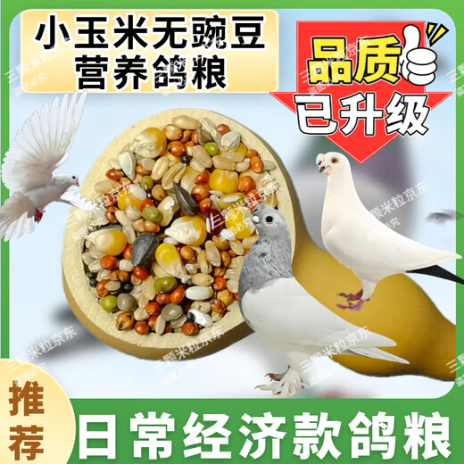 New pigeon food 20 Jin Jin is equal to 0.5 kg. Corn-free pigeon food with corn pigeon feed racing nutrition pigeon food for adult and young pigeons 5 Jin Jin is equal to 0.5 kg. Corn-free pigeon food without peas 5 Jin Jin is equal to 0.5 kg.