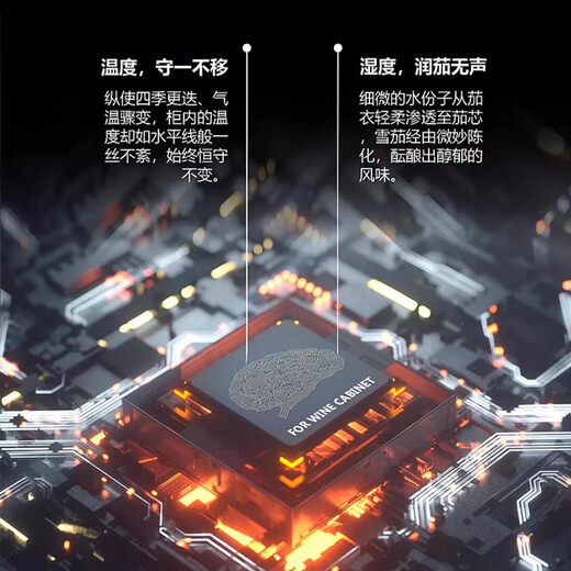 Bailedin cigar cabinet with temperature and humidity control, small multi-functional eggplant with lock, imported cedar wood embedded constant temperature and humidity variable frequency compressor technology WIFI remote control BX-78 black 78L