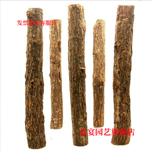 Champagne trunk underwater forest ornaments decoration pure natural water and land tank rainforest tank landscaping climbing pet turtle sun terrace 4-6 cm in diameter and 20 cm long