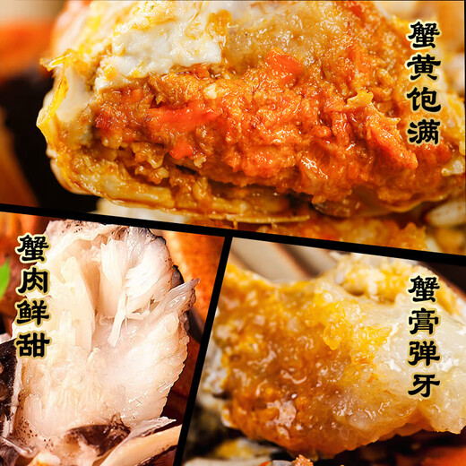 Live Crabs Crab San Clipper Village Hairy Crab Male 5.5-5.8 Two Females 4.5-4.8 Two 4 Pairs 8 Fresh Crabs in Stock Fresh Gift Box Directly from the Source