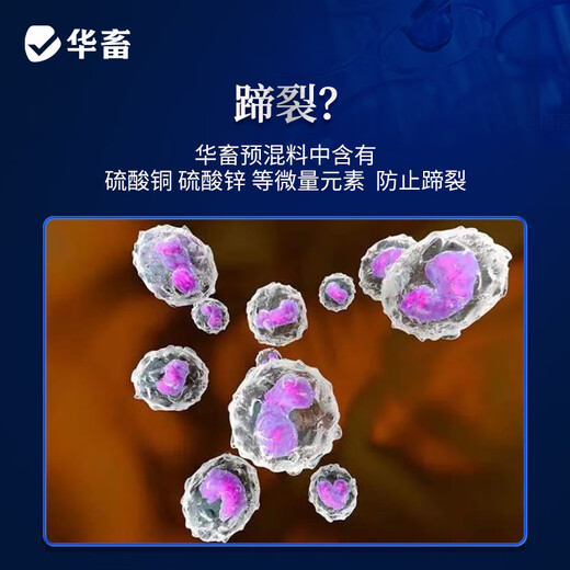 Huazhu 4% beef cattle and sheep feed premix for fattening cattle feed for breeding ewes concentrated feed for cow fattening and weight gain