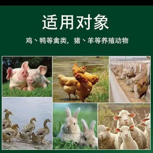 Veterinary fish bone meal 100 Jin Jin is equal to 0.5 kg Steam dried fish meal Livestock and poultry feed Pig cattle and sheep feed additives Aquatic feed 10 Jin Jin is equal to 0.5 kg Fish bone meal