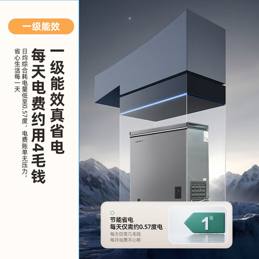 Xinfei Freezer First Class Energy Efficiency Frost Reducing Small Freezer Home Commercial Storage Energy Saving Refrigerator Freezer Small Refrigerator Small Rental Refrigerator Breast Milk Tea Preservation Refrigerator Gray 200L High Efficiency Frost Reduction-36 Cryogenic Quick Freezing