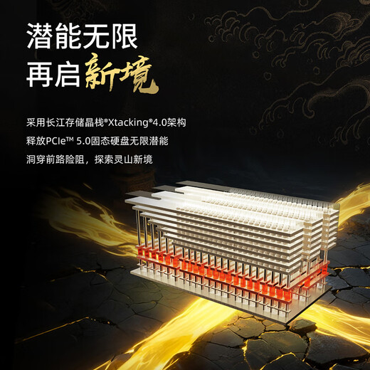致态（ZhiTai）长江存储 4TB SSD固态硬盘 NVMe M.2接口 TiPro9000 系列《黑神话：悟空》联名版 (PCIe 5.0 产品)