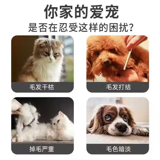 Fluffy and smooth dog knotting spray Bichon Frize Teddy dog and cat hair knotting magic no-wash knotting water three bottles of hair nourishing buy 2 get 1 free