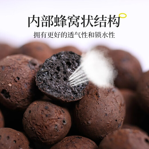 Siweibo ceramsite bottom for flower cultivation, special succulent nutrient soil flower pot flower backfill fish tank hydroponics paving volcanic stone particles gardening ceramsite 2 liters (large particles 16-23mm)