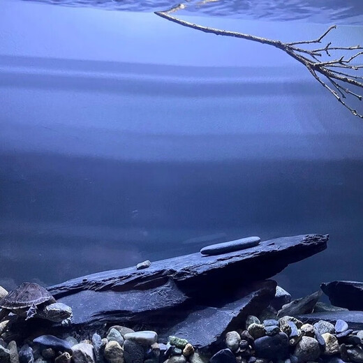 Fish tank stone ornamental stone native tank black gold fine schist turtle basking back schist landscaping platform fish tank climbing pet vacation 3Jin Jin equal to 0.5kg 20-30cm