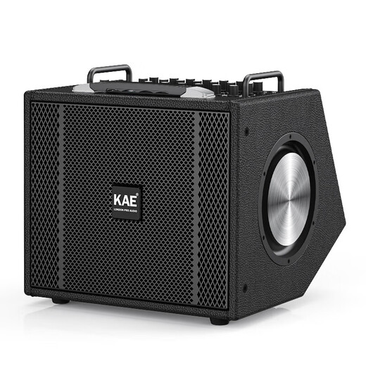 KAEM8 roadshow live audio instrument playing and singing outdoor karaoke electric guitar blowpipe internal recording portable stage performance speaker M8 Purple (Deluxe Edition)