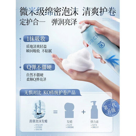 Yinqian foam hair wax for curly hair, moisturizing, fluffy and elastic, wool curls for women and men, styling bubble hair wax, hair gel mousse, value-for-money 2-pack, foam hair wax 450ml*2