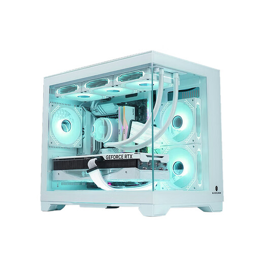 ASUS Tianxuan 5060Ti/5060 graphics card i514600KF/245KF assembled computer desktop complete machine DIY Hatsune Miku mod chassis game console white appearance sea view room i5 14600KF + ASUS RTX5060 configuration nine