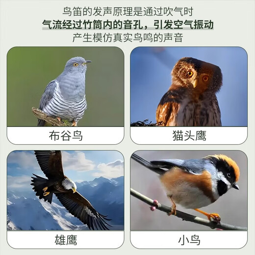 Yuan ethnic minority bamboo bird flute science and education toy music wind instrument lark flute bird flute children's music bird whistle Bamboo bird flute (random flower style) simple and easy to learn with deep tone