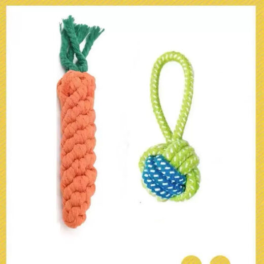 Dog toy set, bite-resistant molar stick, puppy supplies, interactive teddy dog, corgi teeth cleaning, small and medium-sized training, dog interactive three-piece set