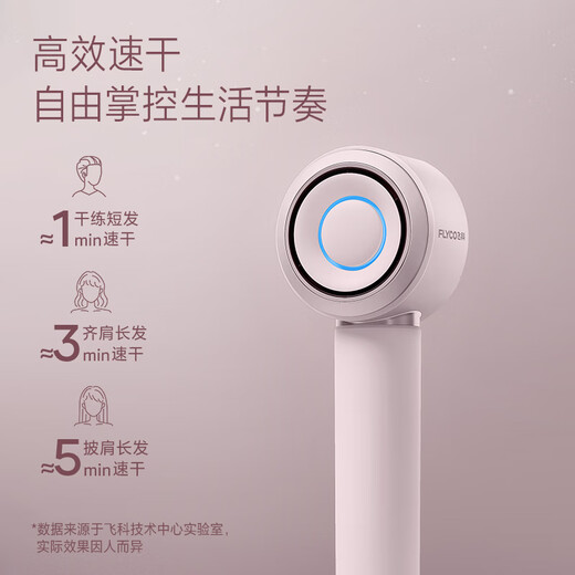 FLYCO high-speed hair dryer home dormitory negative ion quick-drying hair dryer holiday gift FH6371 diamond powder standard hanger
