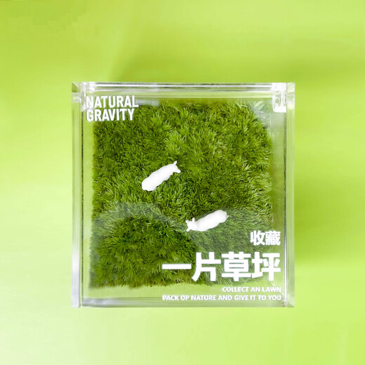 Jingdong green plants, a private lawn, office gift box, moss micro-landscape ornaments, ecological green plants, customized gifts, straight from the source