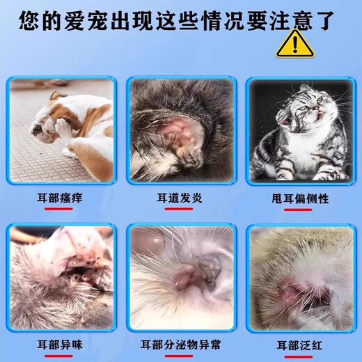 Ear mite ear drops for cats and dogs, ear drops for anti-inflammation and itching to remove ear mites, Bayer Yersu, a box of otitis media medicine for removing mites, bacteria and fungi.