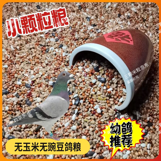 New pigeon food 20 Jin Jin is equal to 0.5 kg. Corn-free pigeon food with corn pigeon feed racing nutrition pigeon food for adult and young pigeons 5 Jin Jin is equal to 0.5 kg. Corn-free pigeon food without peas 5 Jin Jin is equal to 0.5 kg.