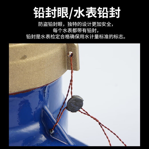 Steel pre-made product digital water meter rotor type tap water meter (Jingcang) horizontal iron set iron connection DN20 (6 points) one price