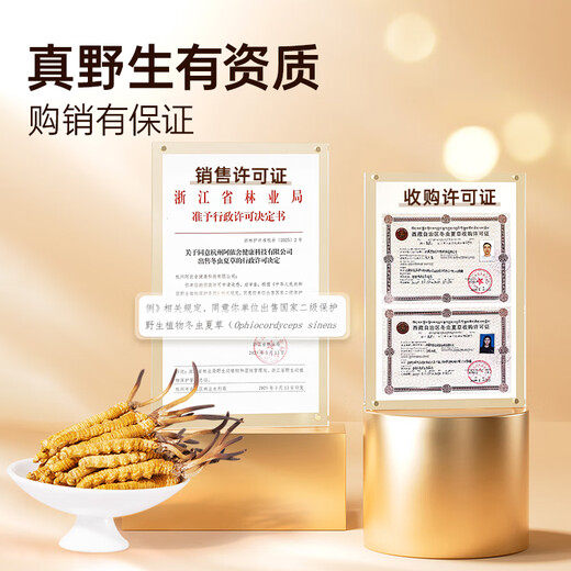Ayishe [Narqu, Tibet] Authentische wilde Cordyceps sinensis Neue getrocknete Cordyceps High-End-nahrhafte Geschenkbox Urlaubsgeschenk [Narqu, Tibet] Wild 3 Wurzeln/G 20g Geschenkbox