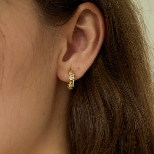 Arsis freely matches snake bone small earrings, female fashion simple earrings, versatile earrings as a gift for your girlfriend, snake bone small earrings - gold