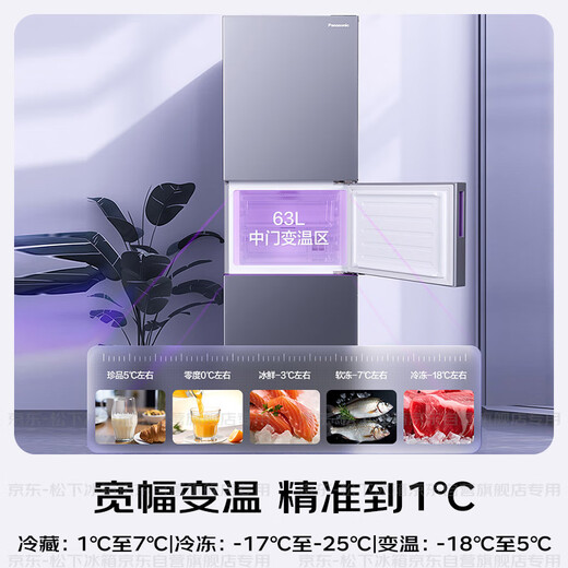 Panasonic's national subsidy