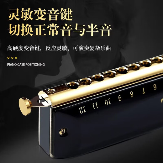 Guoguang chromatic harmonica 10 holes 12 holes 16 holes imported gongs for beginners students entry-level musical instruments for adults professional playing 12 holes chromatic scale black + video teaching