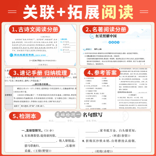 官方直营】2025新版 古诗文与名著阅读拓展提分营古诗文60篇初一初二初三八九七年级必背古诗词和文言文全解全练阅读正版 古诗文与名著阅读 七年级下
