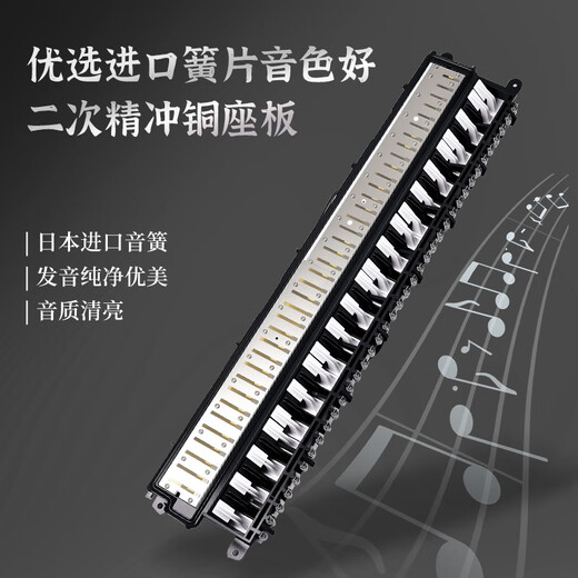 Chimei’s 37-key teaching recommendation is the Delvado harmonium (imported gongs, EVA leather bag, with playing instructions)